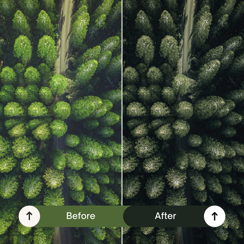 10 Cinematic Green Lightroom Presets