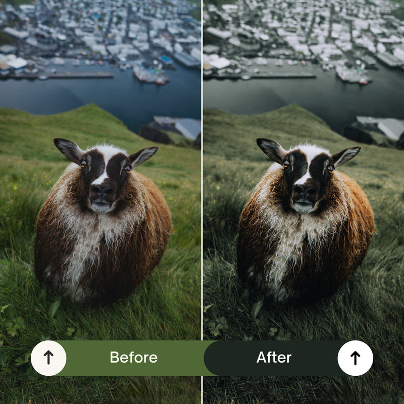 10 Cinematic Green Lightroom Presets