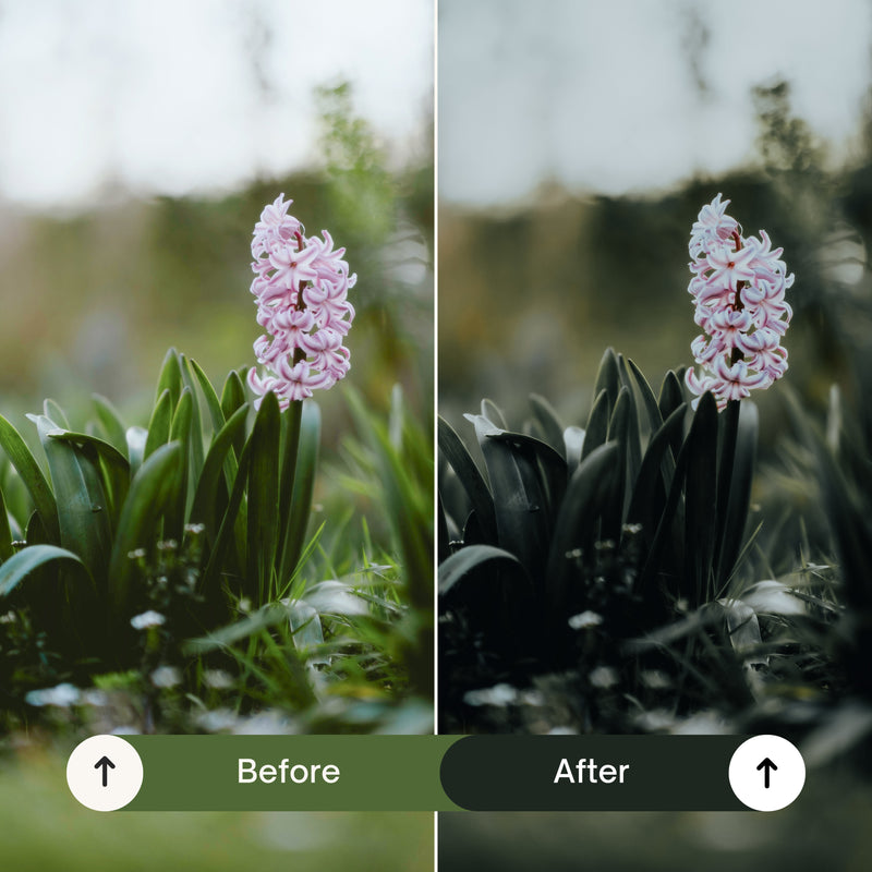 10 Cinematic Green Lightroom Presets
