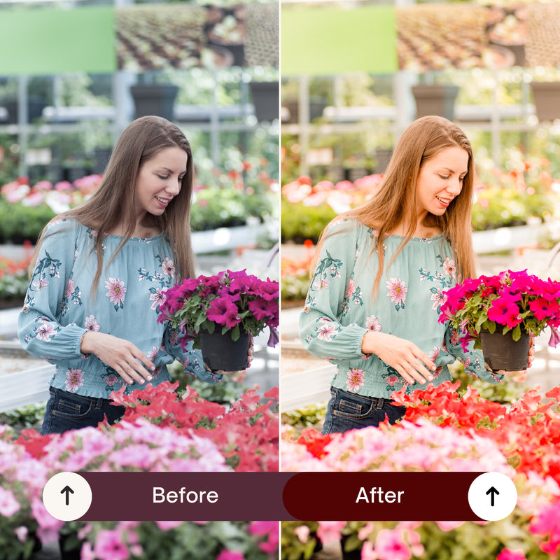 SPRING GLOW LIGHTROOM PRESETS