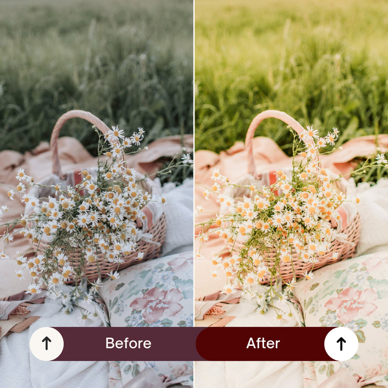 SPRING GLOW LIGHTROOM PRESETS
